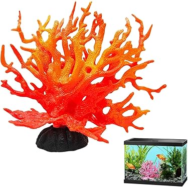 Amazon.co.jp 売れ筋ランキング: 水槽用サンゴ の中で最も人気のある